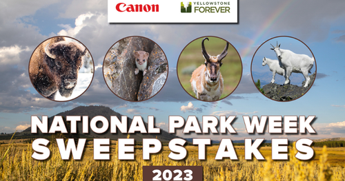 Canon National Parks Week Sweepstakes
